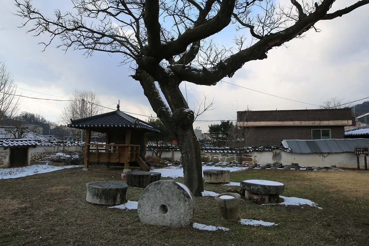 MG0A5246_новый размер.JPG