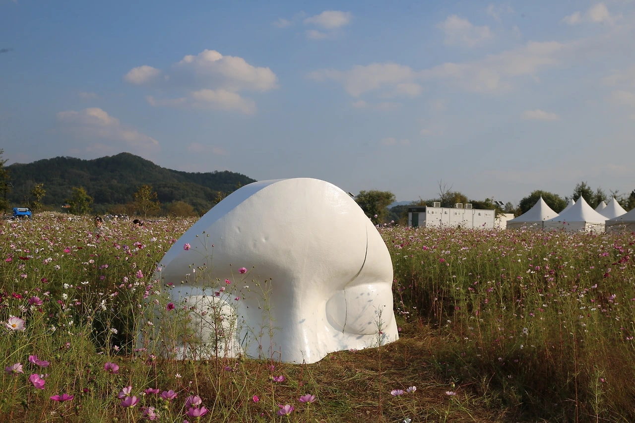 MG0A6549_новый размер.JPG