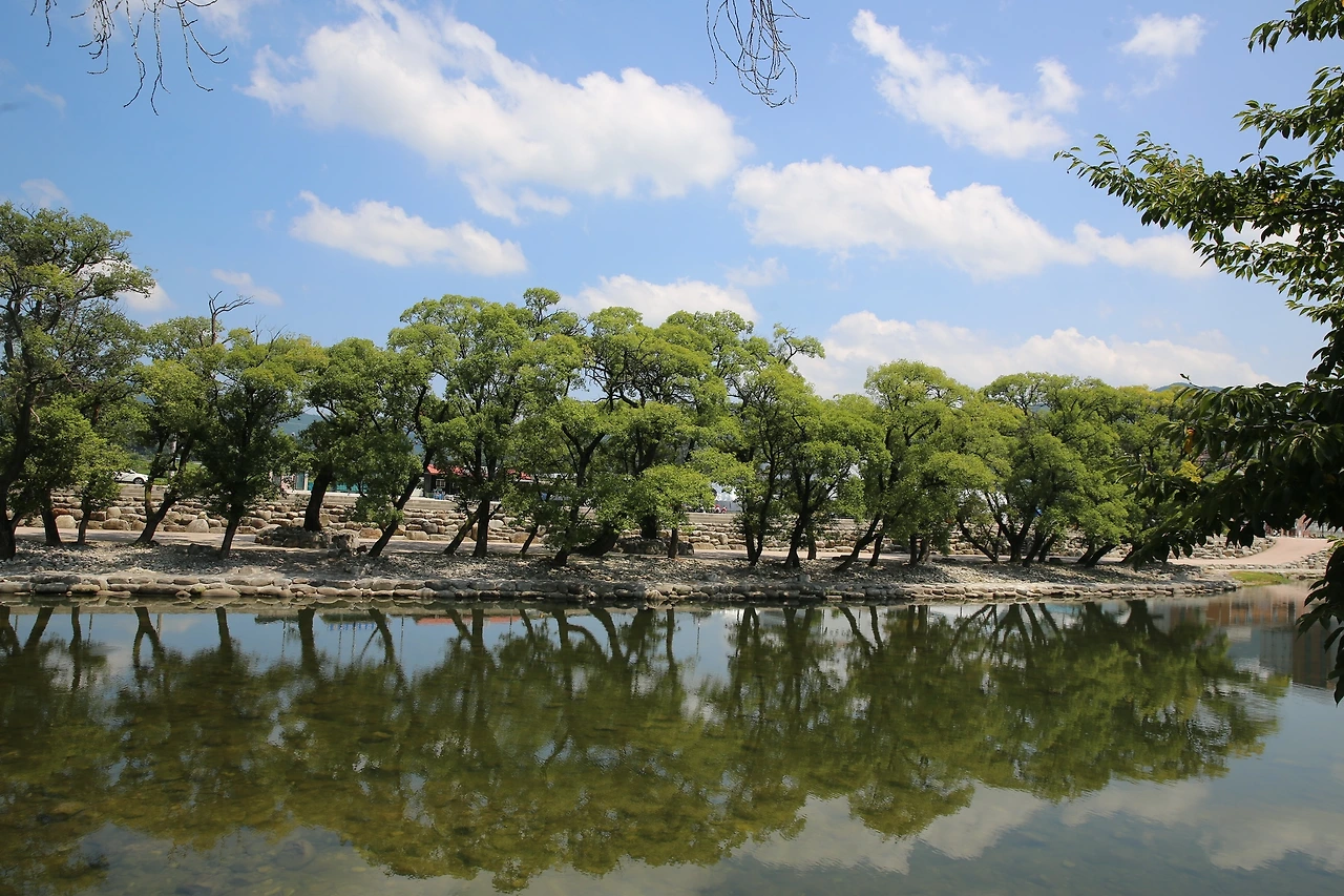 MG0A7303_новый размер.JPG