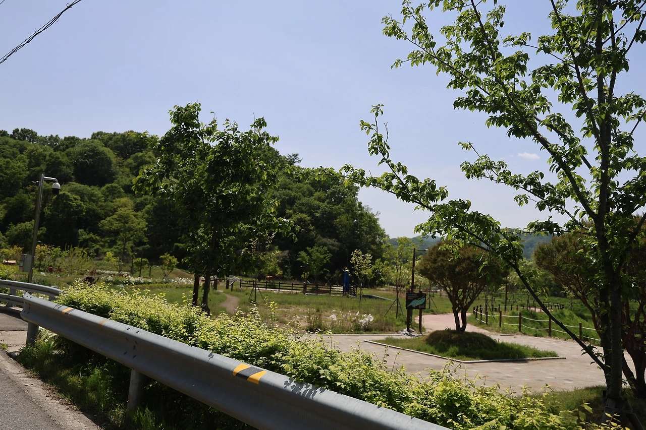 0R5A9926_новый размер.JPG