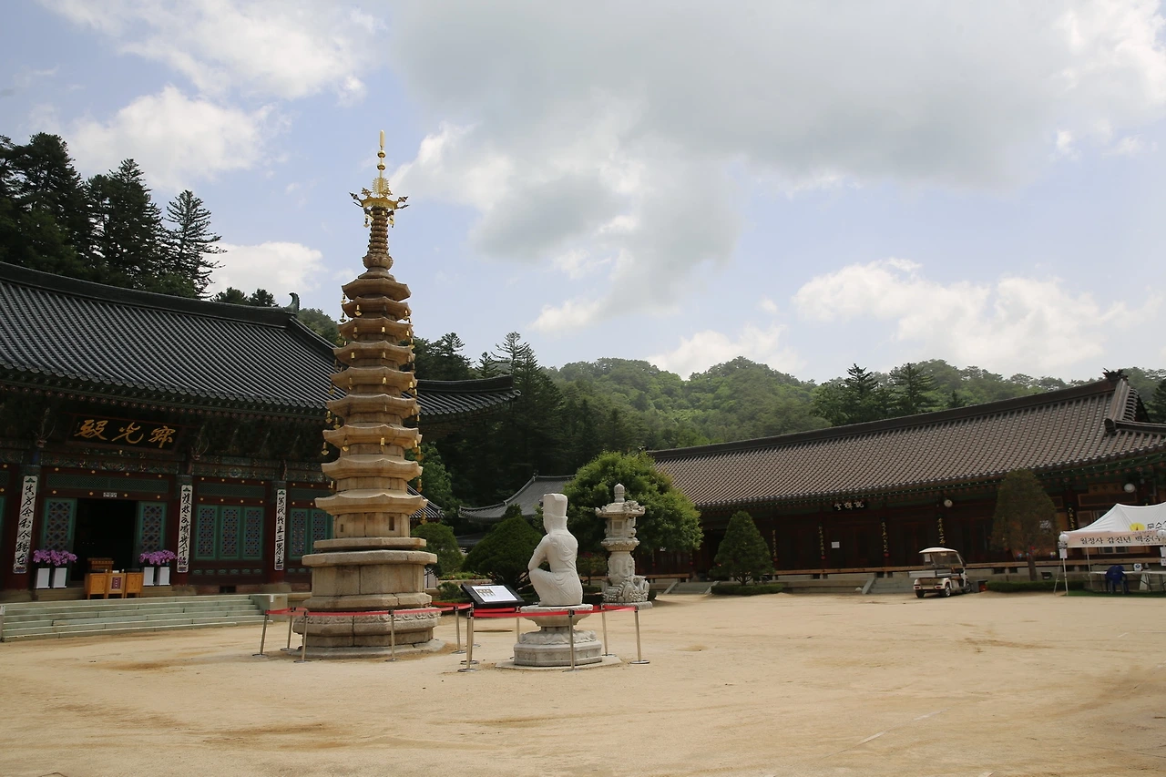 MG0A0782_новый размер - 복사본.JPG