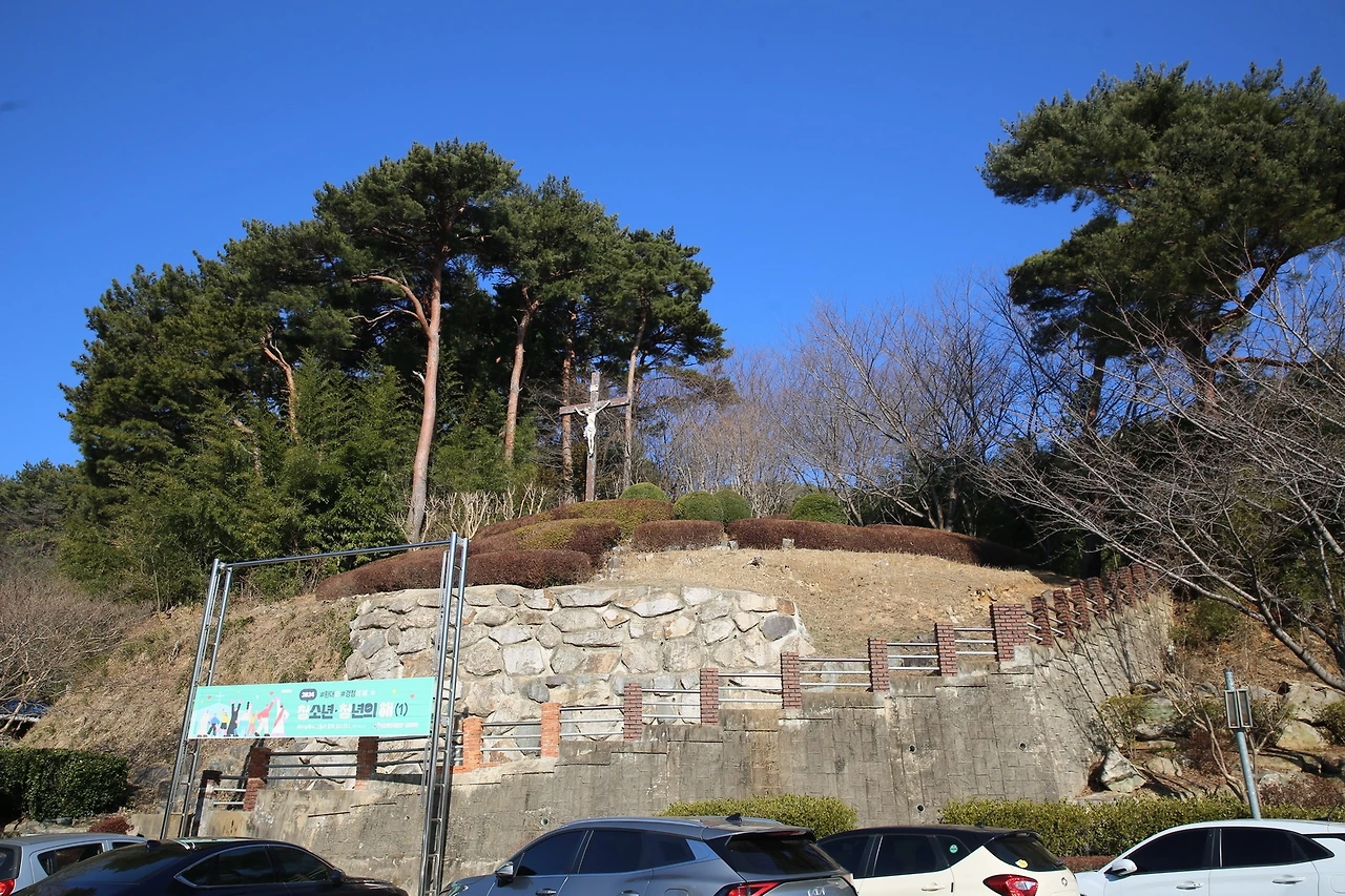 MG0A7837_новый размер.JPG