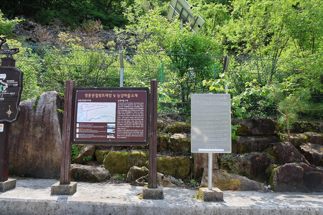 0R5A1373_новый размер.JPG