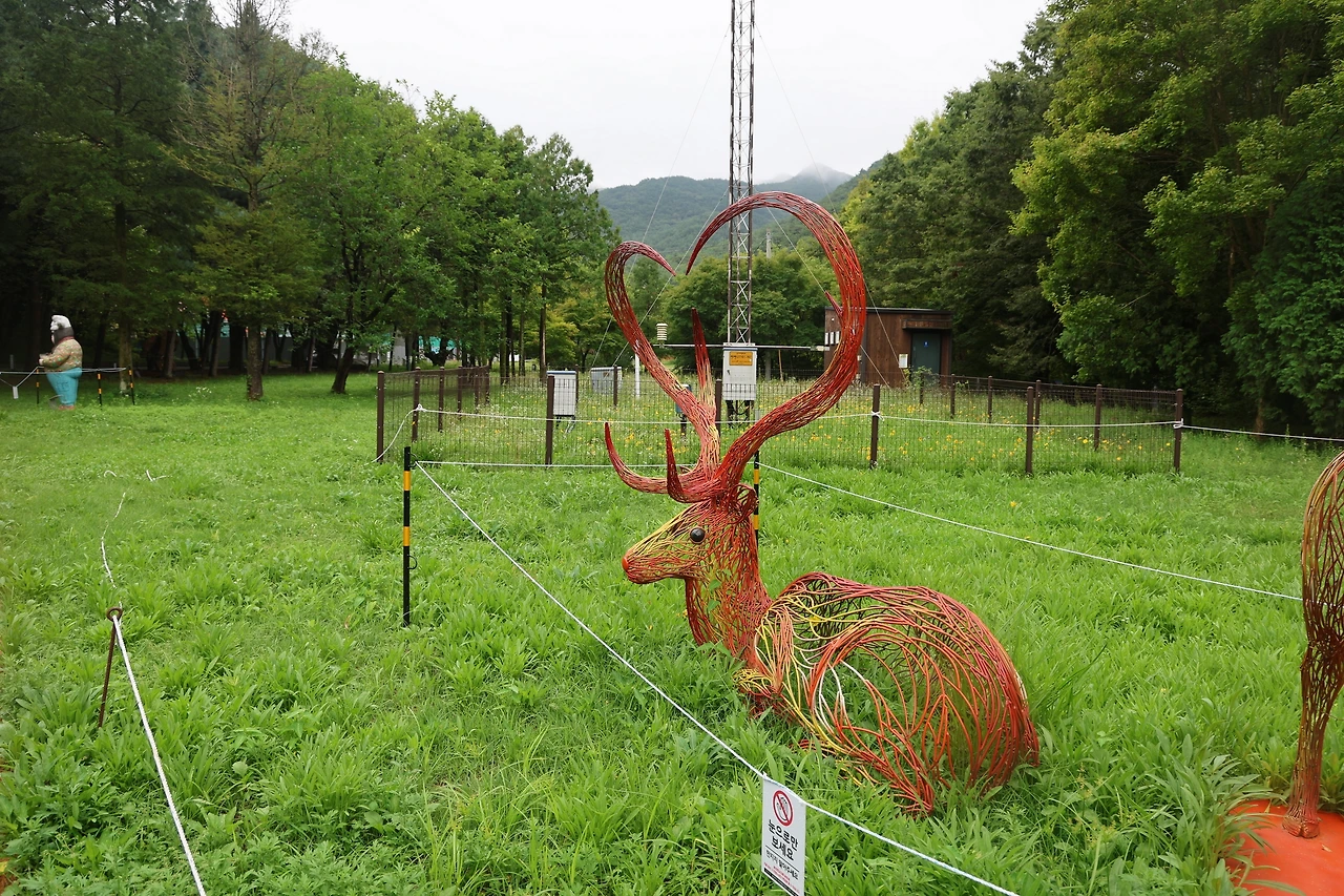 0R5A3883_новый размер.JPG