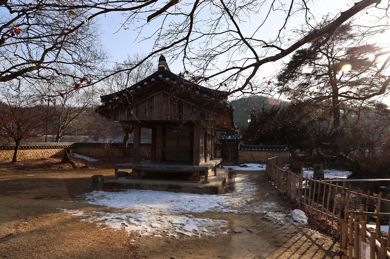 0R5A9270_новый размер.JPG