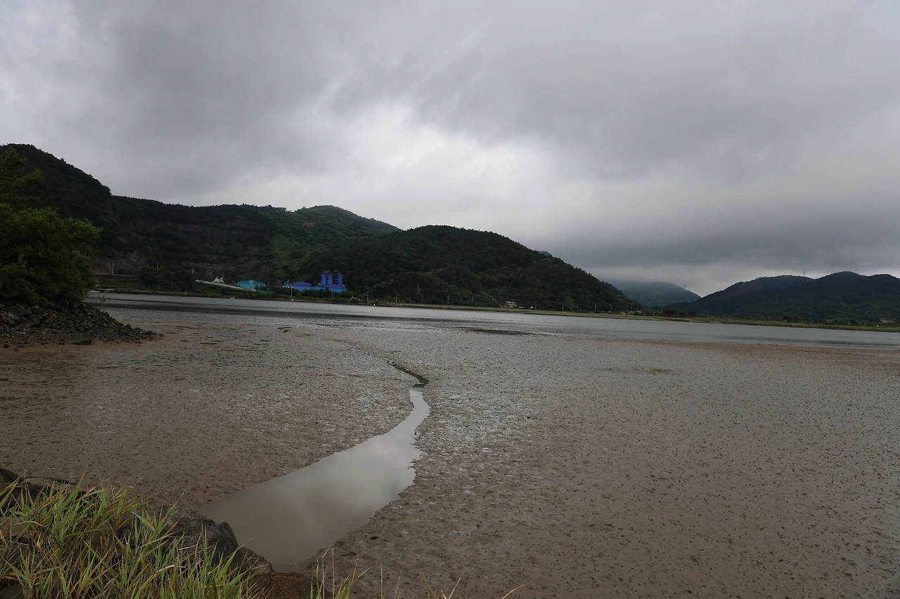 0R5A5981_новый размер.JPG