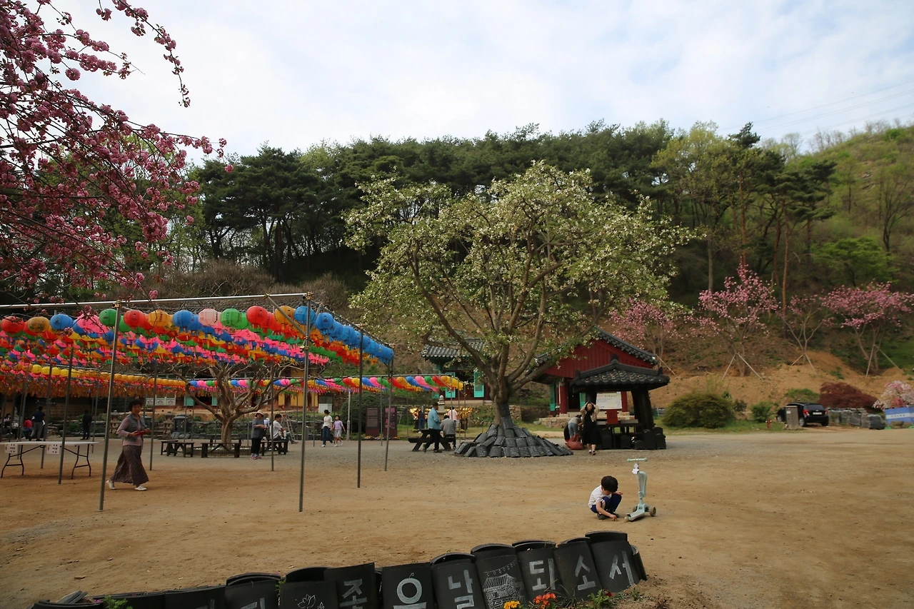 MG0A9539_новый размер.JPG