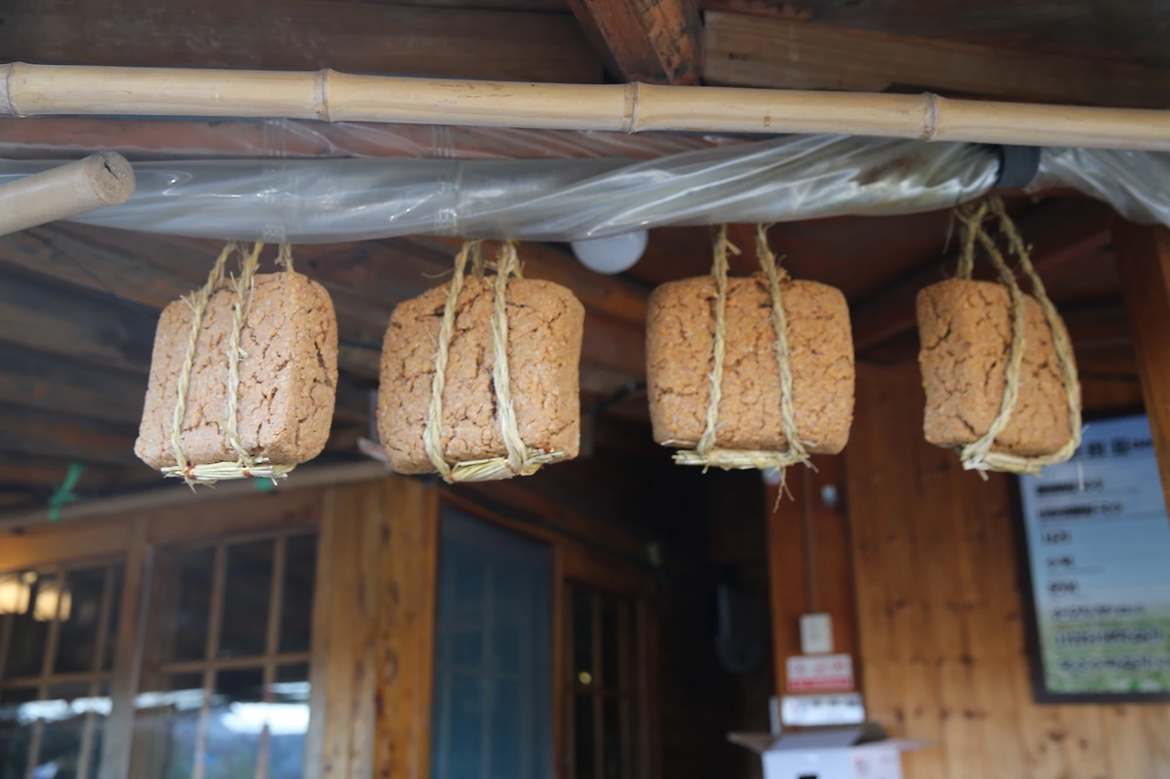 MG0A6572_новый размер.JPG