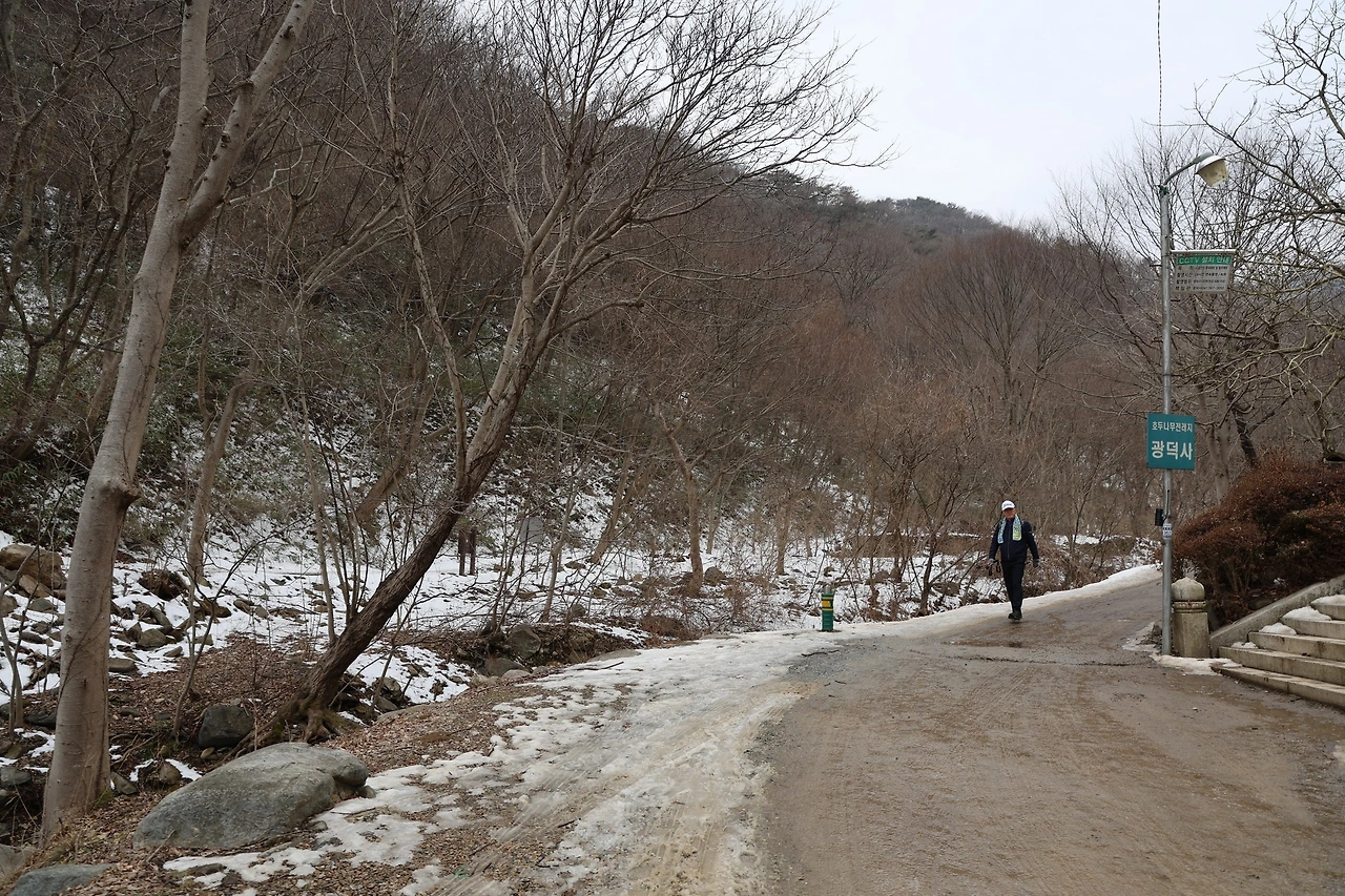 0R5A9556_новый размер.JPG