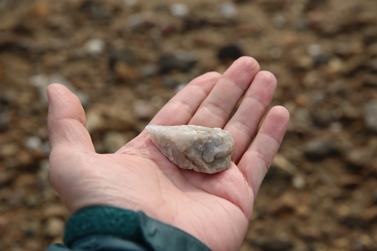 MG0A2212_новый размер.JPG