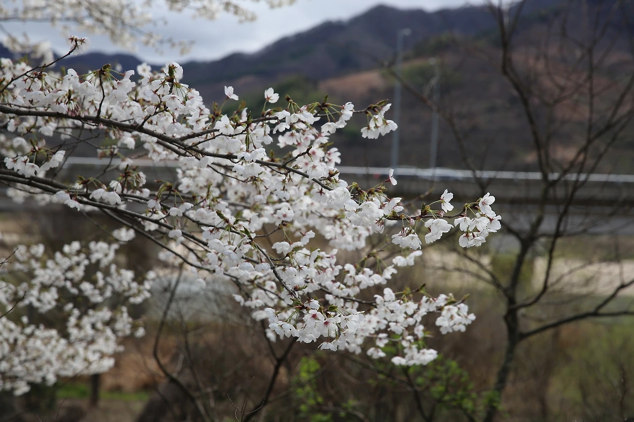 MG0A7133_новый размер.JPG