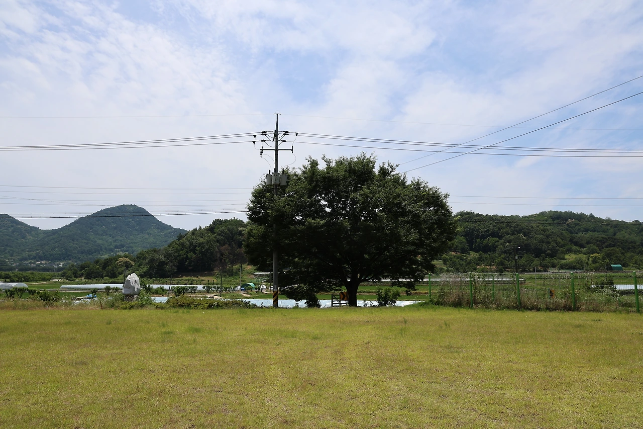 0R5A5157_новый размер.JPG