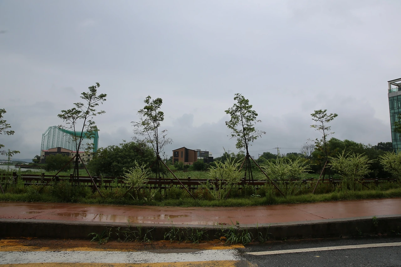 MG0A2520_новый размер.JPG