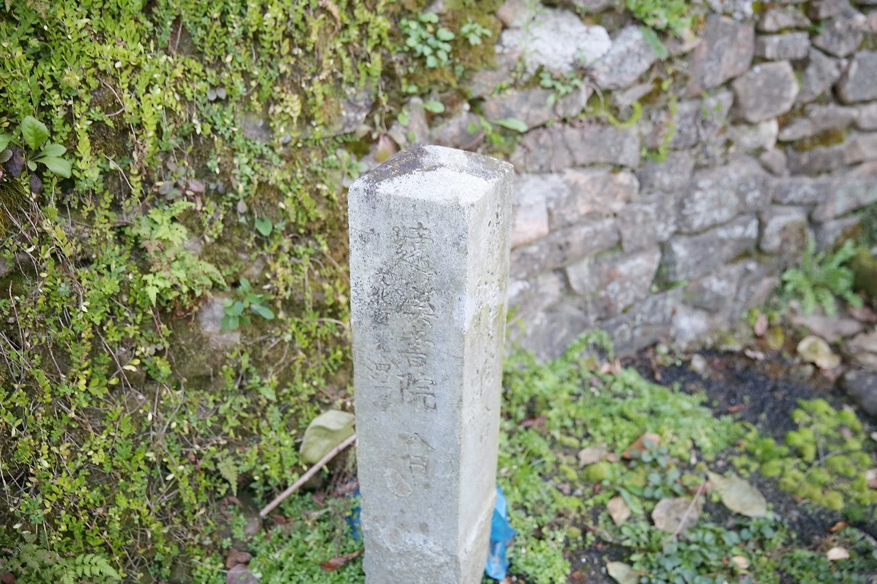 MG0A7008_новый размер_exposure.JPG