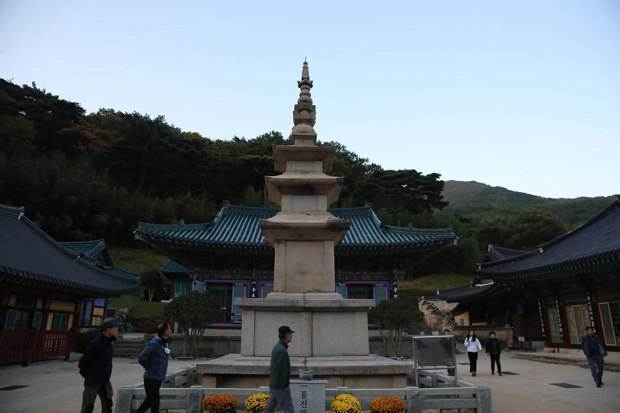 MG0A8366_новый размер.JPG