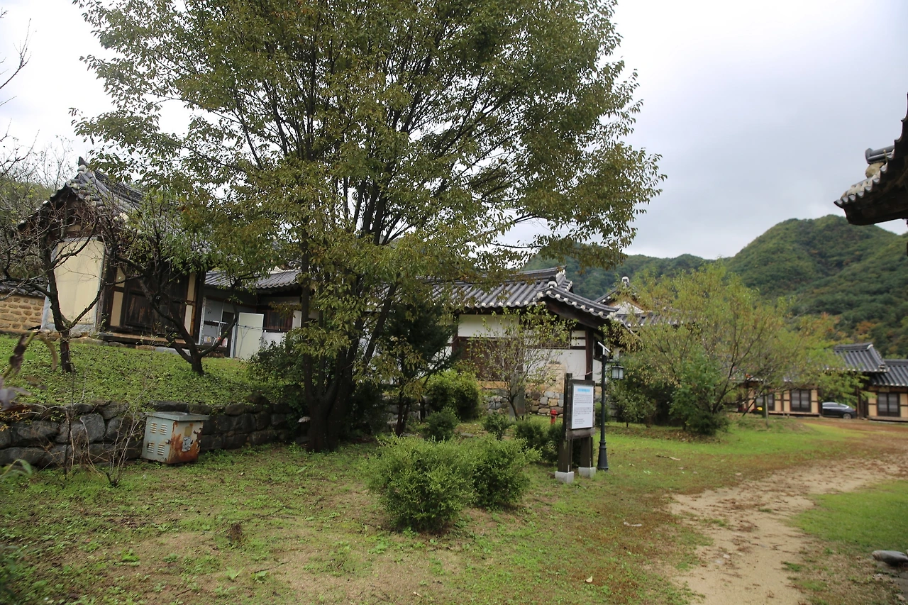 MG0A5865_новый размер.JPG