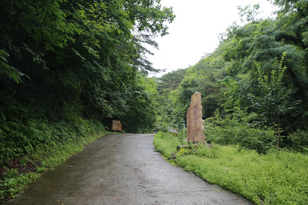 MG0A6415_новый размер.JPG