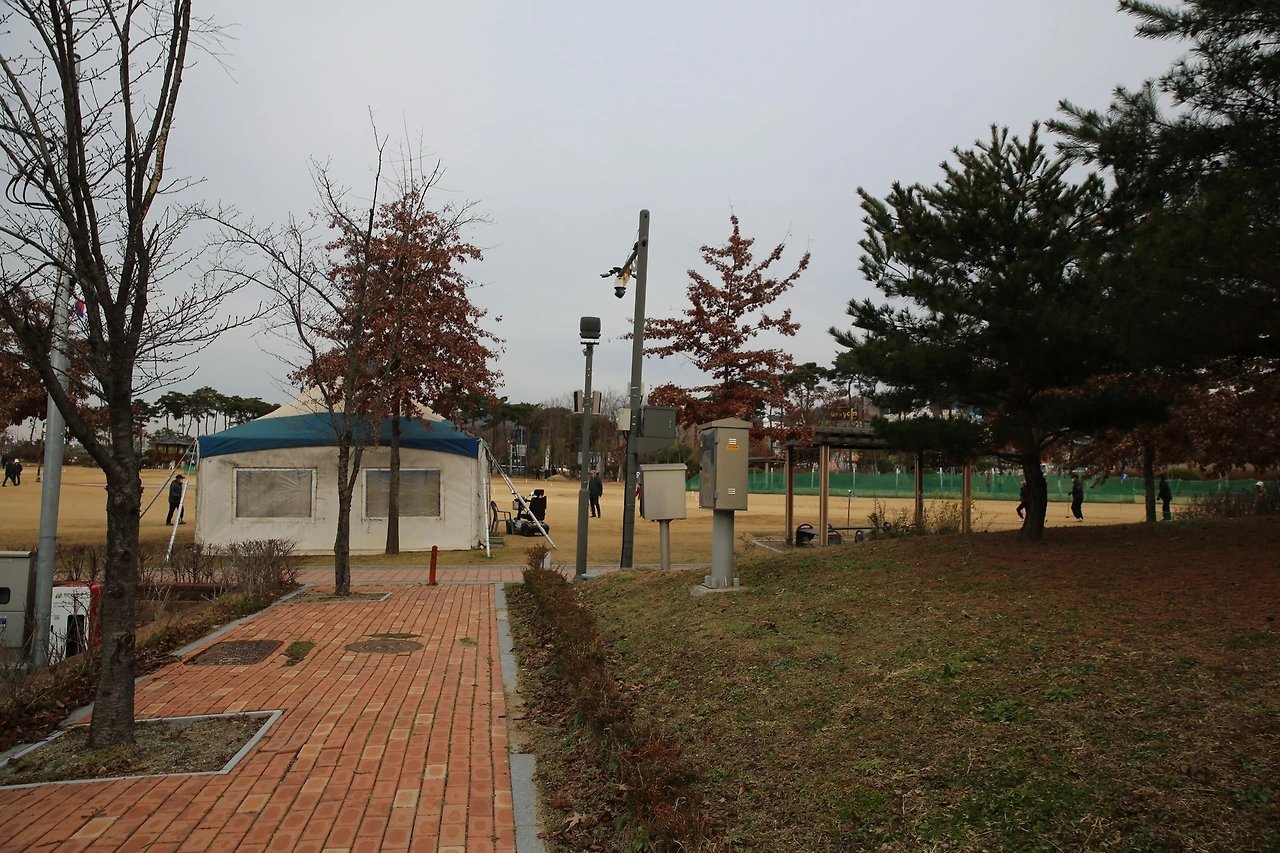 MG0A4451_новый размер.JPG