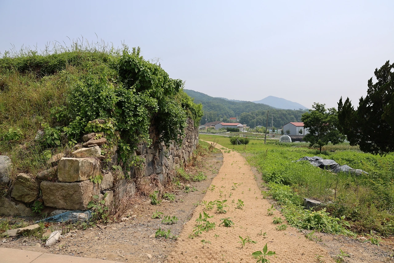 0R5A3572_новый размер.JPG