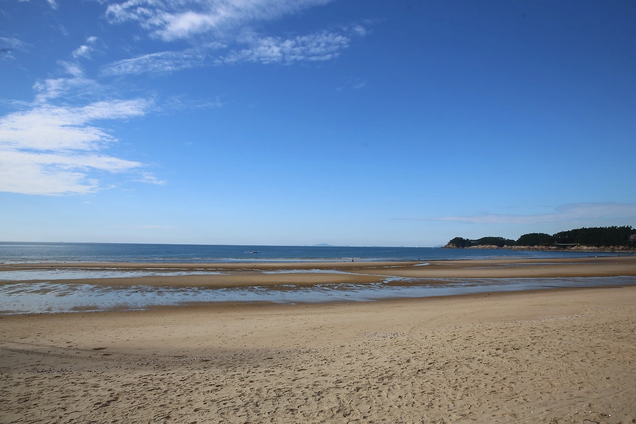 MG0A1297_новый размер.JPG