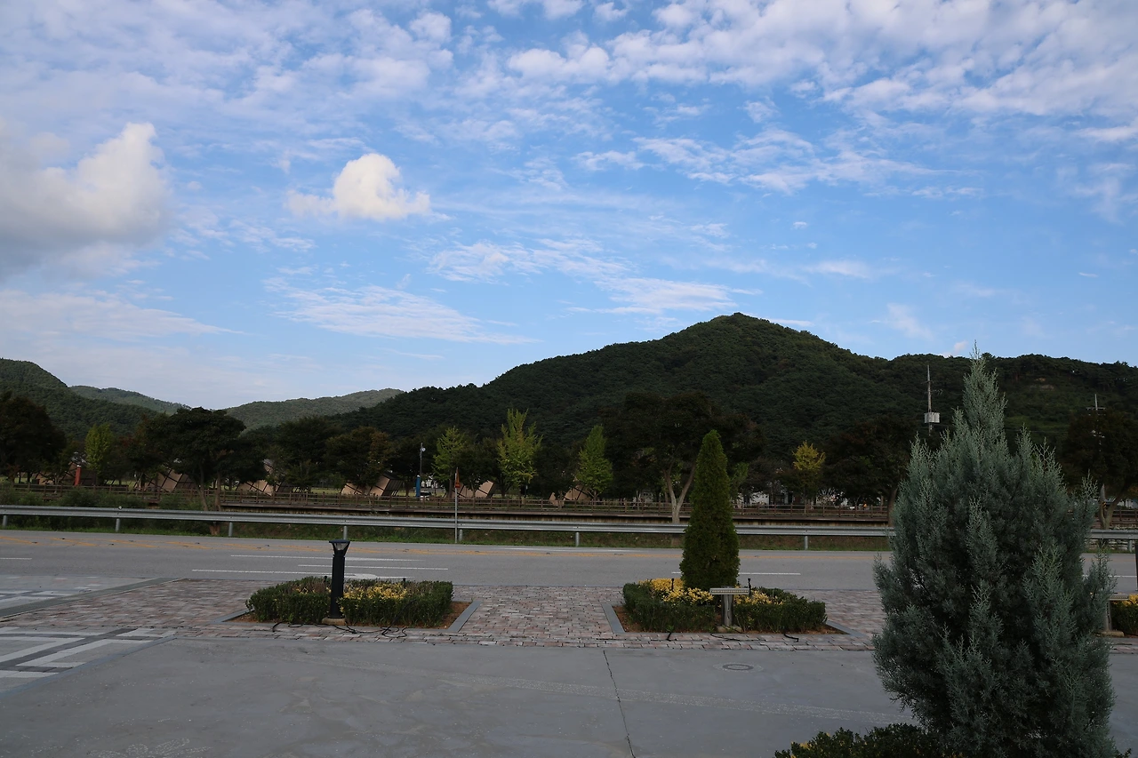 0R5A9225_новый размер.JPG