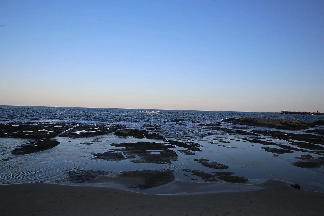 MG0A3889_новый размер.JPG