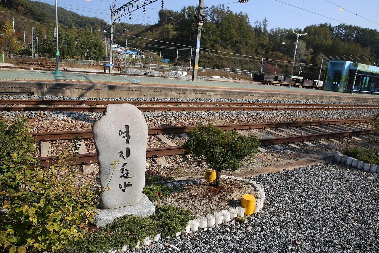 MG0A8323_новый размер.JPG