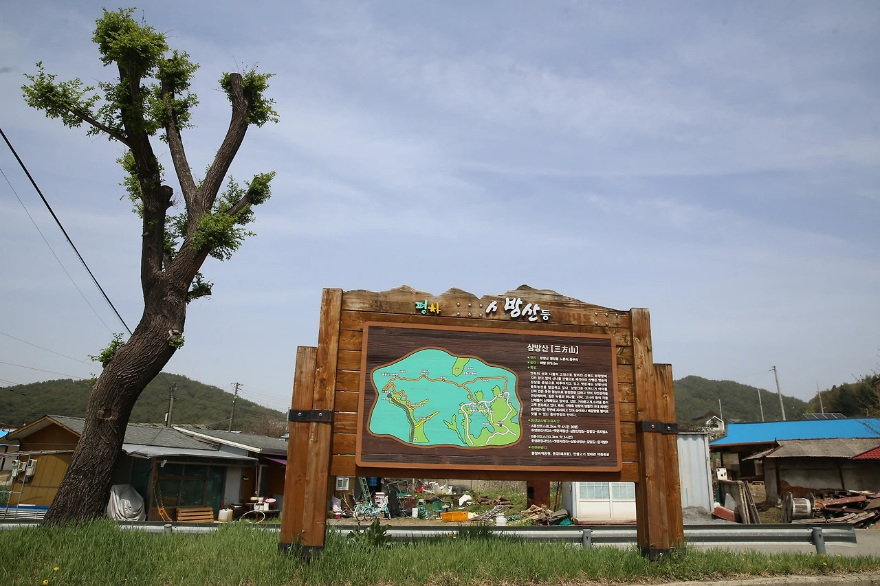 MG0A0161_новый размер.JPG