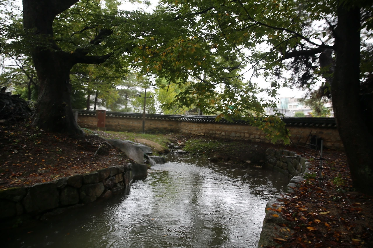 MG0A5977_новый размер.JPG