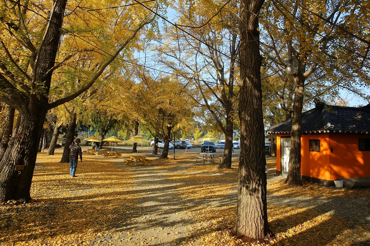 MG0A9379_новый размер.JPG