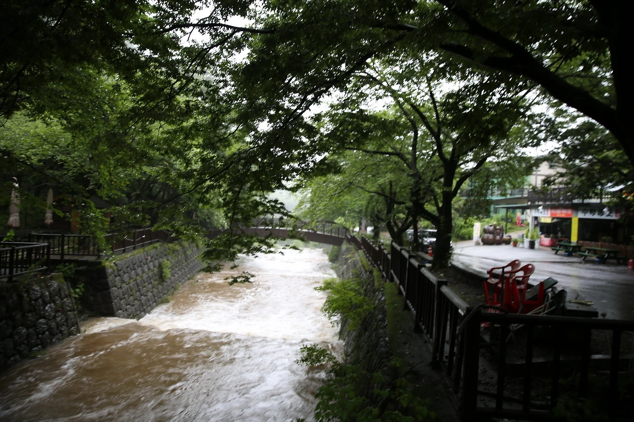 MG0A3342_новый размер.JPG