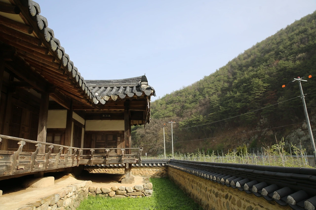 MG0A0017_новый размер.JPG