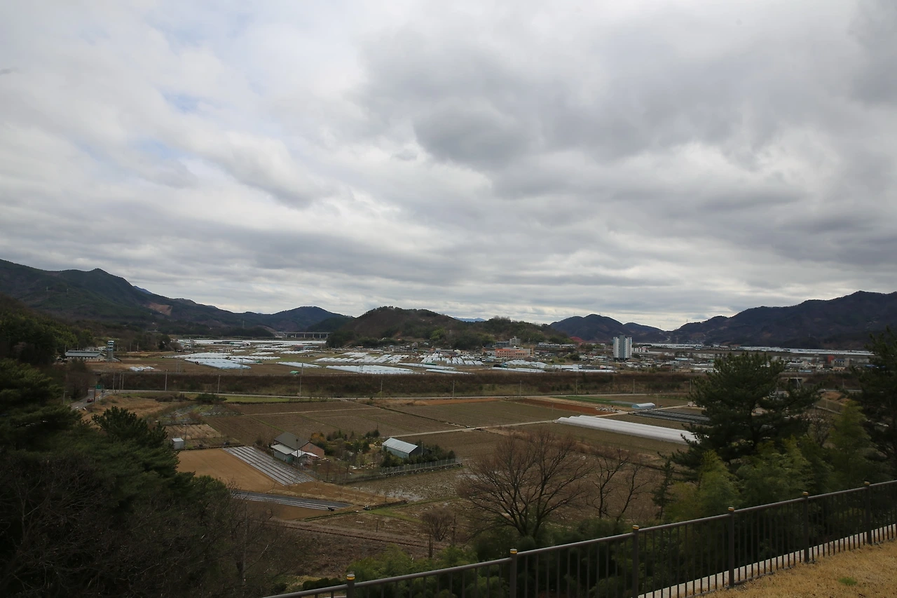 MG0A7102_новый размер.JPG