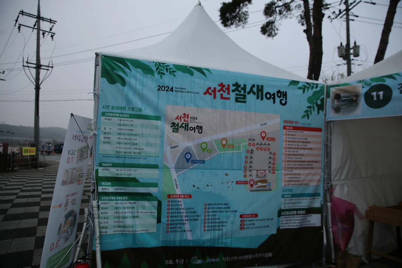 MG0A3586_новый размер.JPG