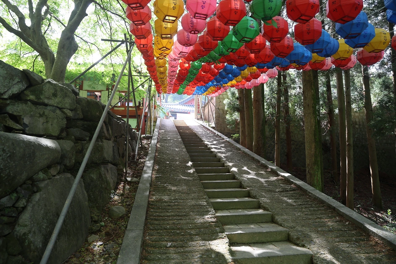 0R5A8344_новый размер.JPG