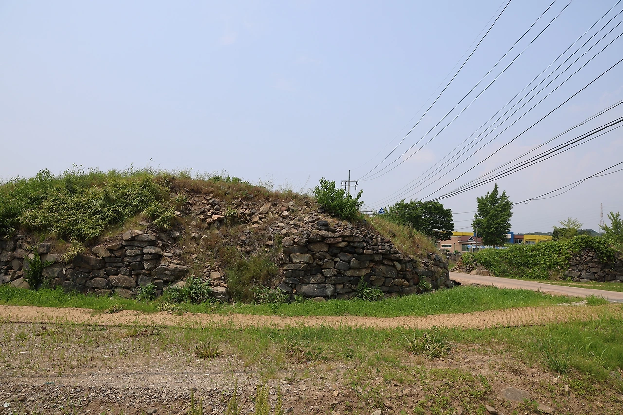 0R5A3581_новый размер.JPG