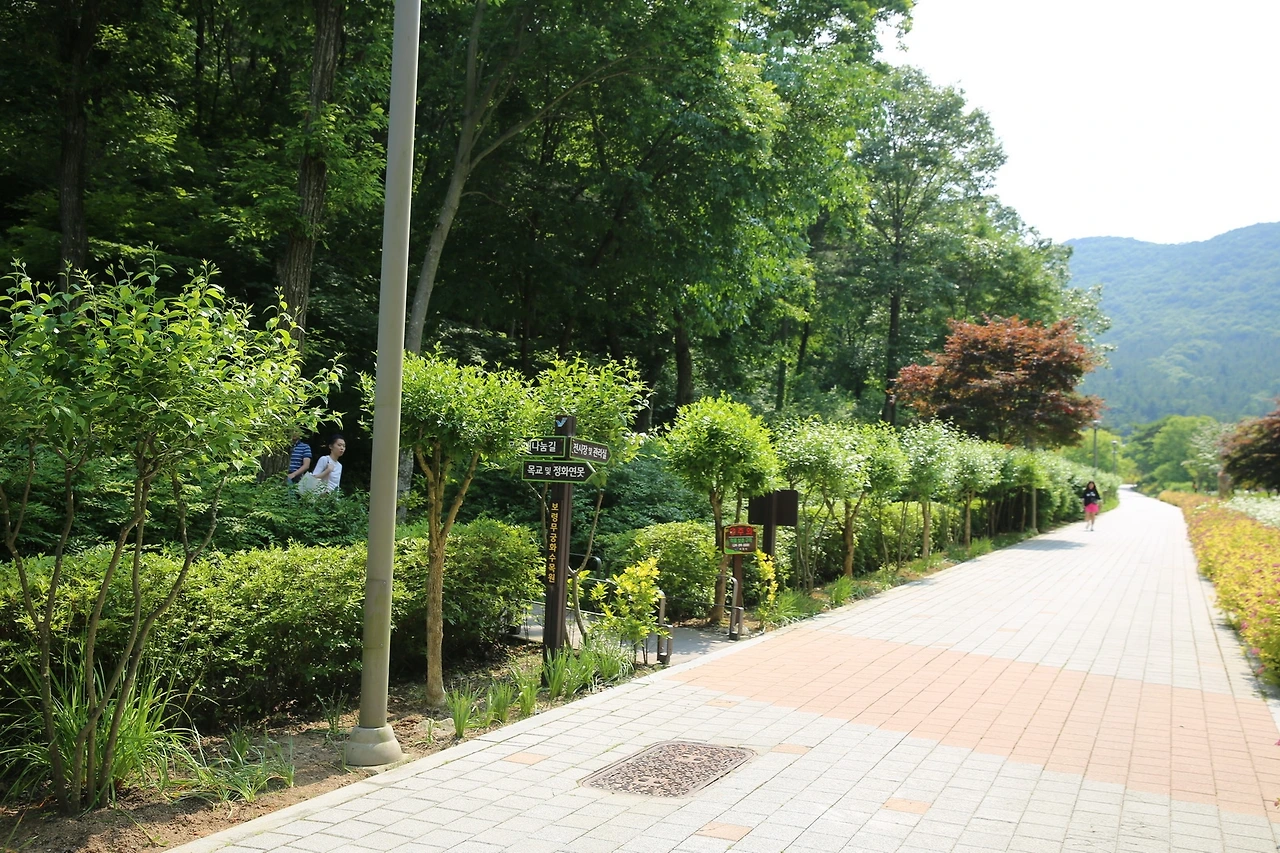 MG0A6358_новый размер.JPG