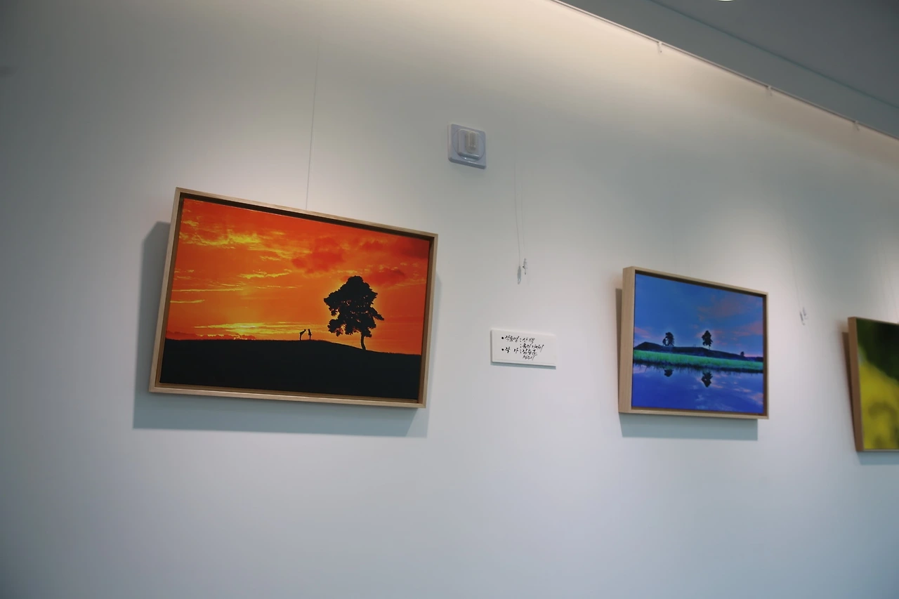 MG0A1477_новый размер.JPG