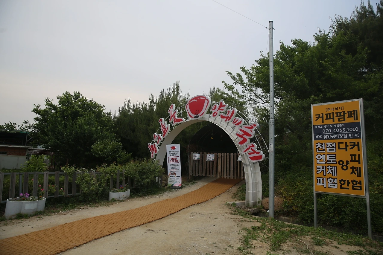 MG0A1161_новый размер.JPG