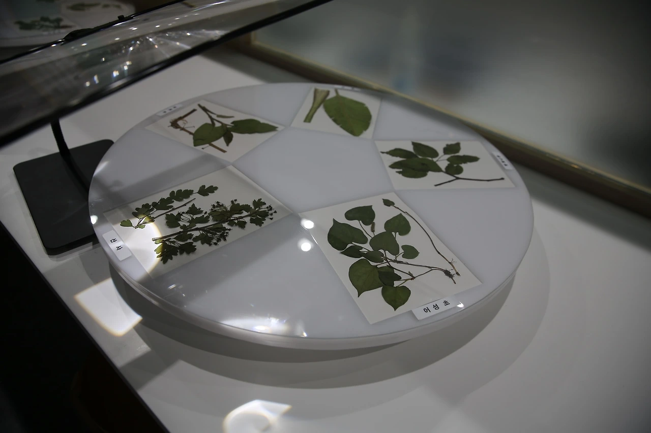 MG0A3145_новый размер.JPG