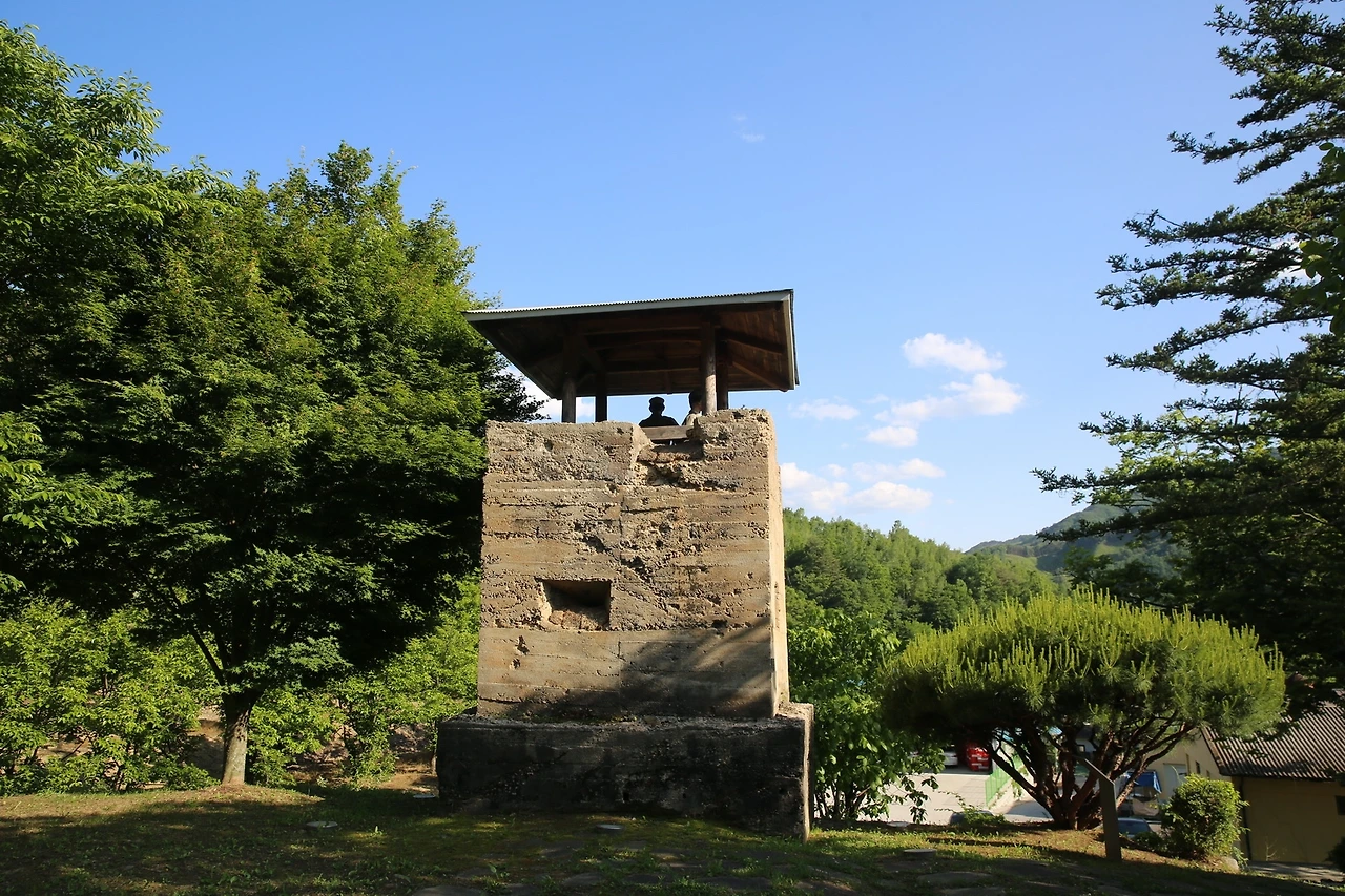 MG0A9540_новый размер.JPG