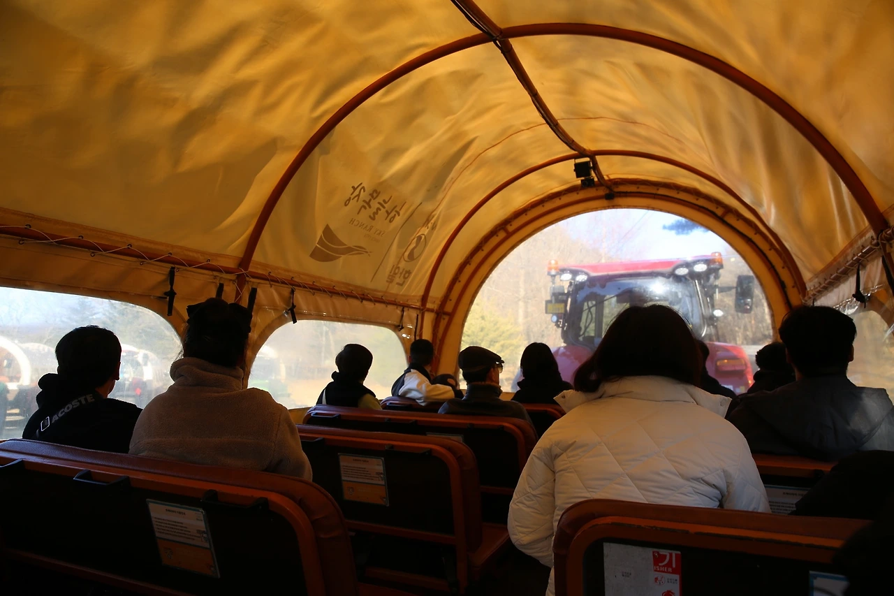 MG0A1724_новый размер.JPG