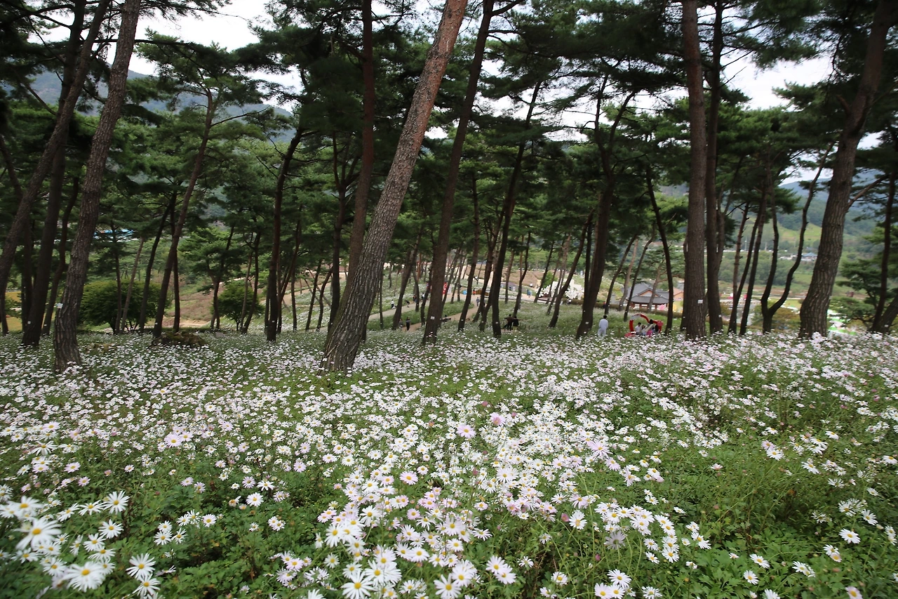 MG0A4782_новый размер.JPG