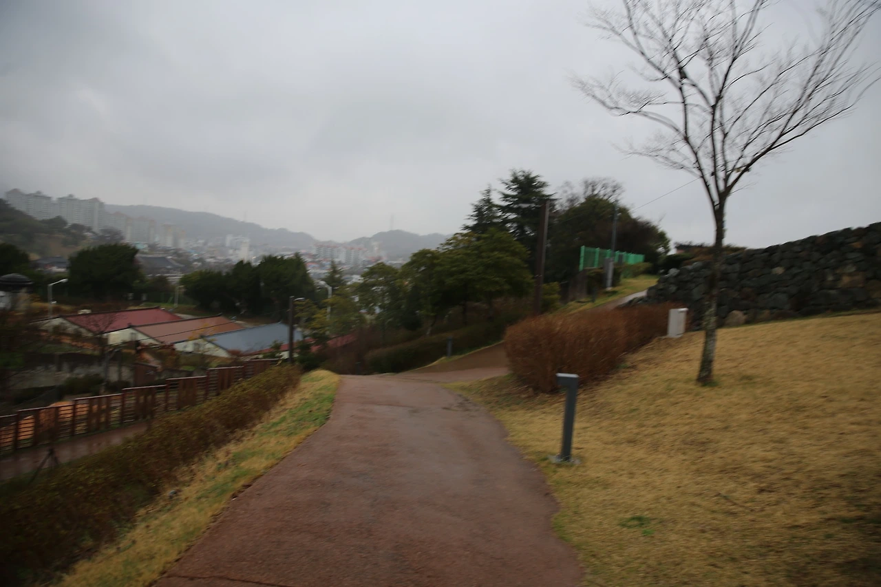 MG0A6530_новый размер.JPG