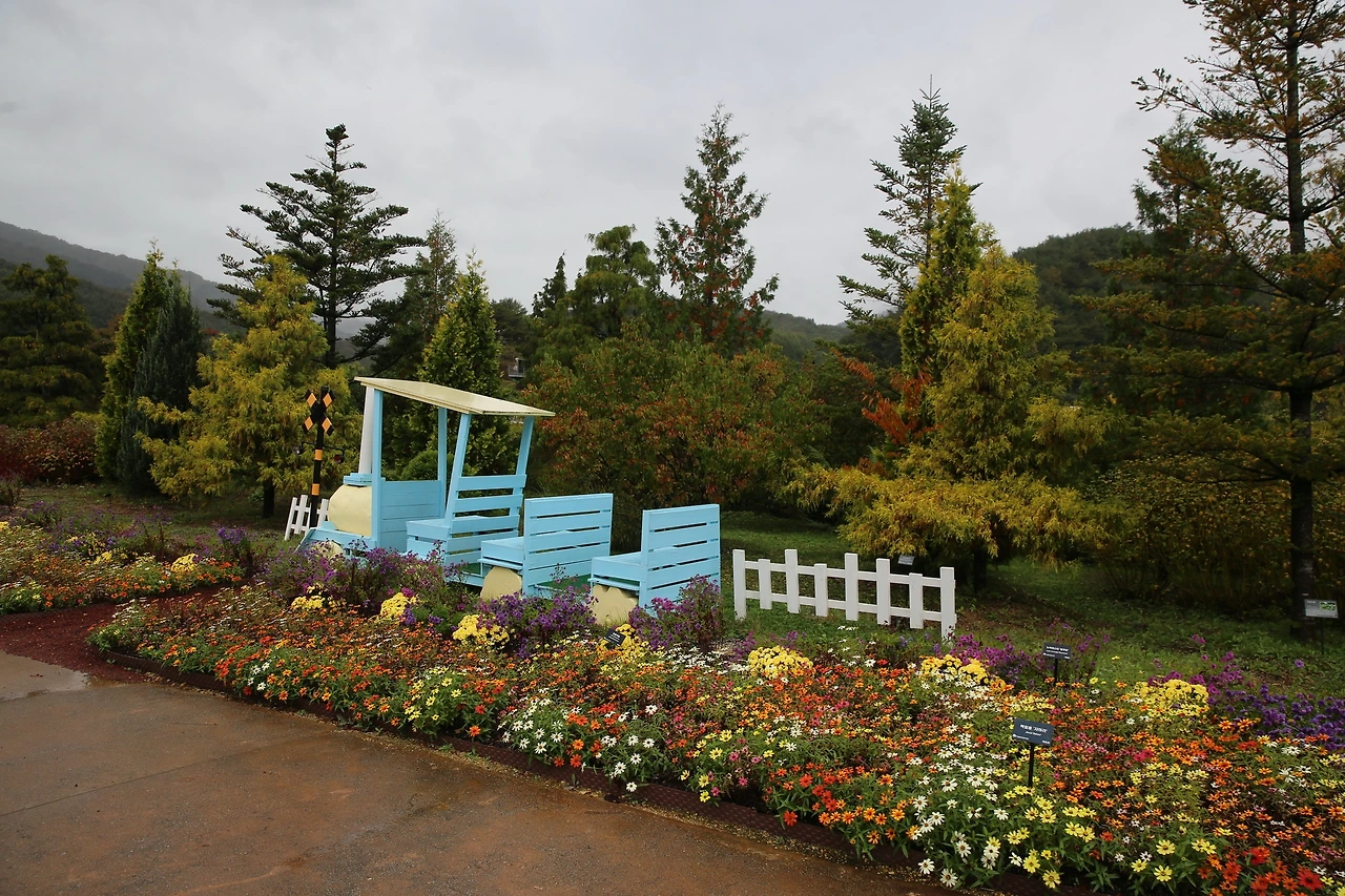 MG0A6137_новый размер.JPG