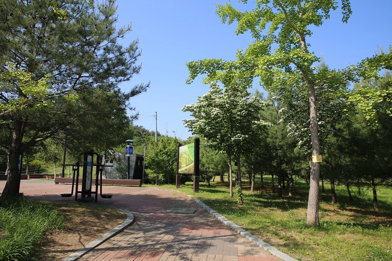 MG0A0050_новый размер.JPG