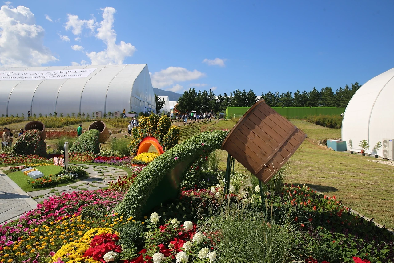 MG0A3739_новый размер.JPG