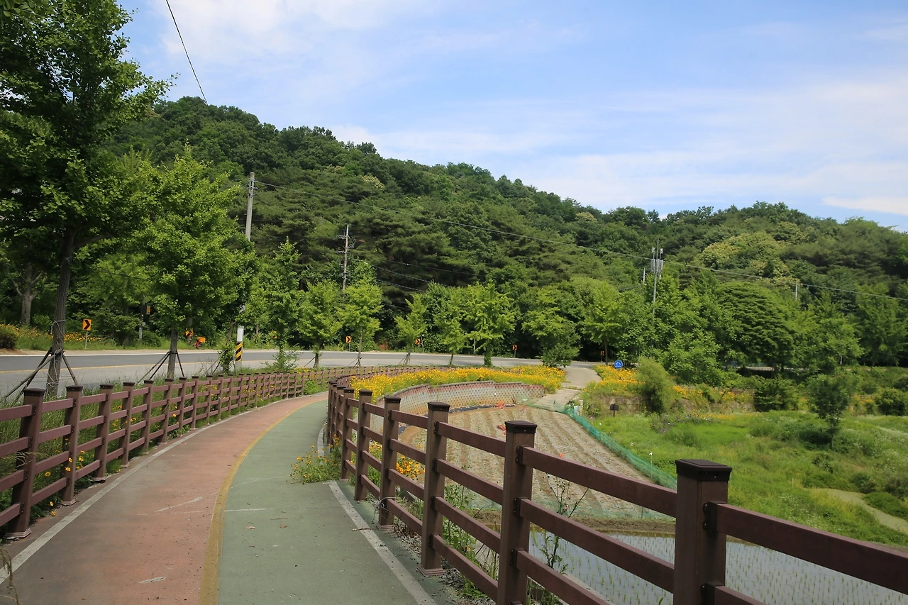 MG0A2173_новый размер.JPG