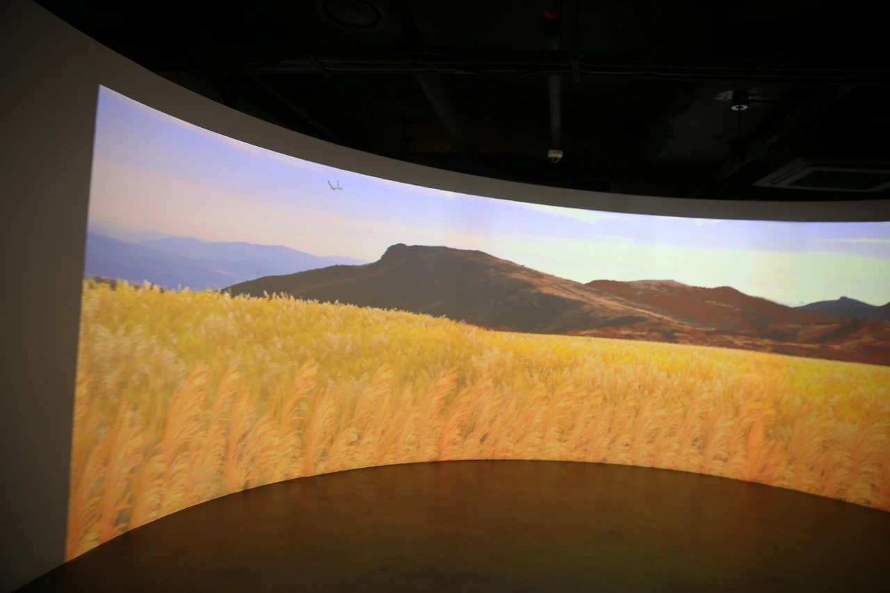 MG0A4427_новый размер.JPG