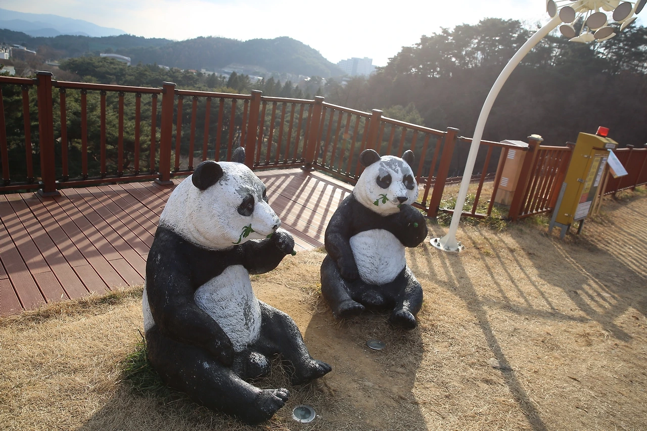 MG0A4958_новый размер.JPG